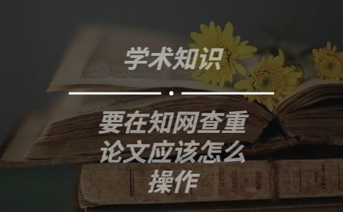 要在學術查重論文應該怎么操作