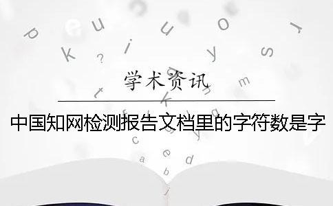 中國(guó)學(xué)術(shù)檢測(cè)報(bào)告文檔里的字符數(shù)是字符還是字符數(shù)